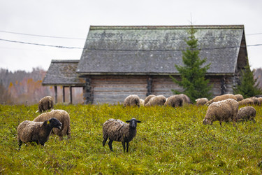 Similar image 22342227