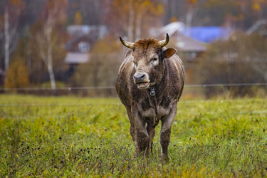 Similar image 22342228