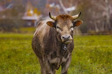 Similar image 22342229