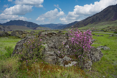 Similar image 22348189