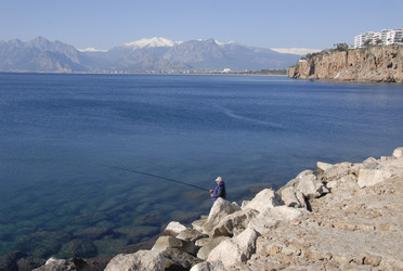 Similar image 22344357