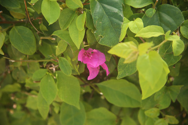 Similar image 22347323