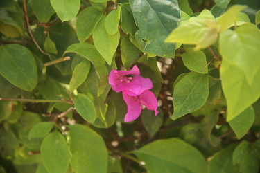 Similar image 22347324