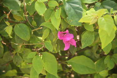 Similar image 22347325