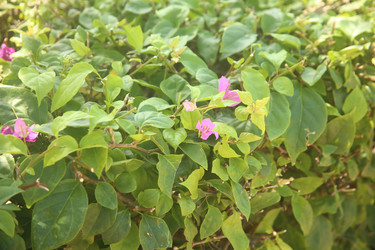 Similar image 22347326