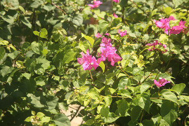 Similar image 22347327