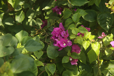 Similar image 22347328