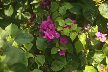 Similar image 22347329