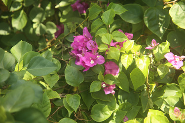 Similar image 22347330