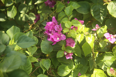 Similar image 22347331