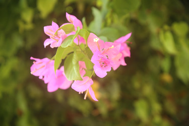 Similar image 22347332