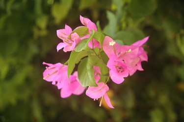 Similar image 22347333