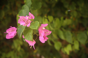 Similar image 22347334