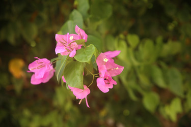 Similar image 22347335