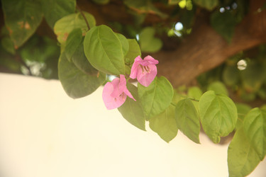 Similar image 22347336