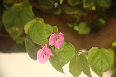 Similar image 22347936