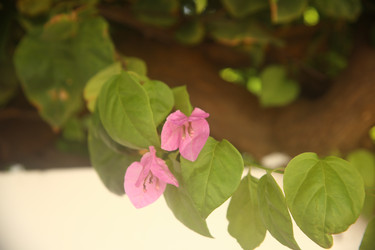 Similar image 22347937