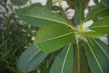 Similar image 22347939