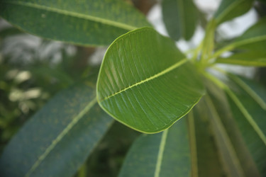 Similar image 22347941