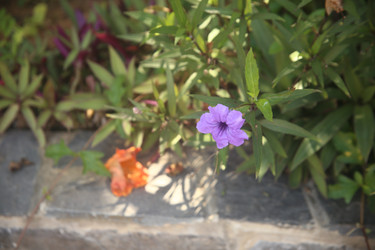 Similar image 22347944