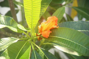 Similar image 22347945