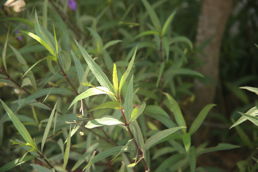 Similar image 22347946