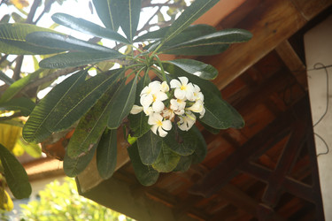 Similar image 22347947