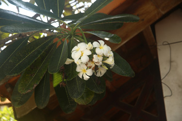 Similar image 22347948