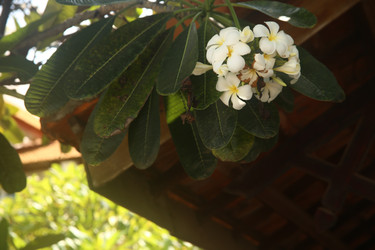 Similar image 22347949