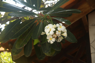 Similar image 22347950