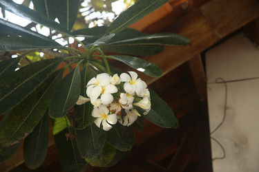 Similar image 22347951