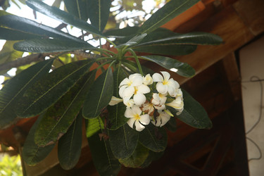 Similar image 22347952