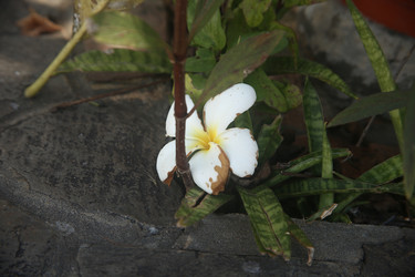 Similar image 22347953