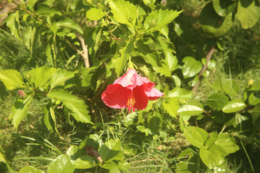 Similar image 22347954