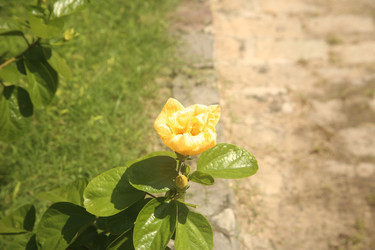 Similar image 22347955