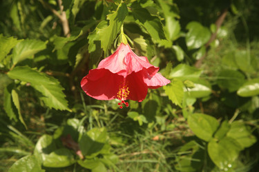 Similar image 22347956