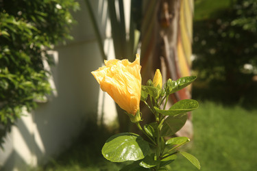 Similar image 22347957