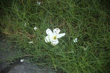 Similar image 22347958