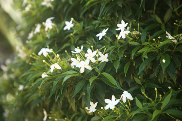 Similar image 22347960