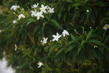 Similar image 22347961