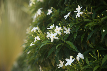 Similar image 22347962