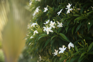 Similar image 22347963