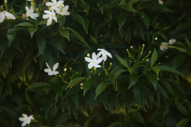 Similar image 22347965