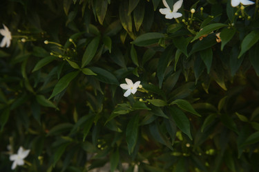 Similar image 22347966