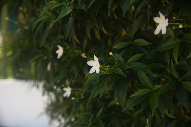 Similar image 22347967