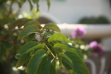 Similar image 22347968