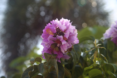 Similar image 22347969