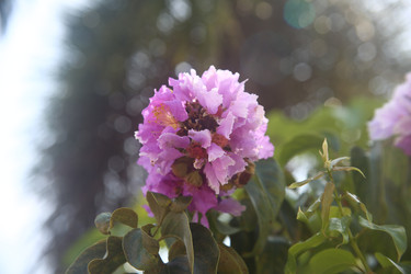 Similar image 22347970