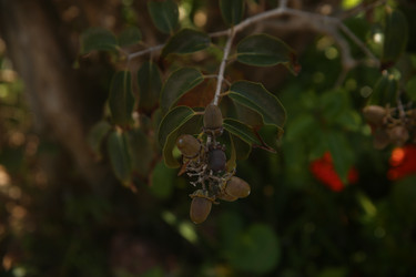 Similar image 22347971