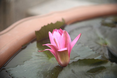 Similar image 22347973